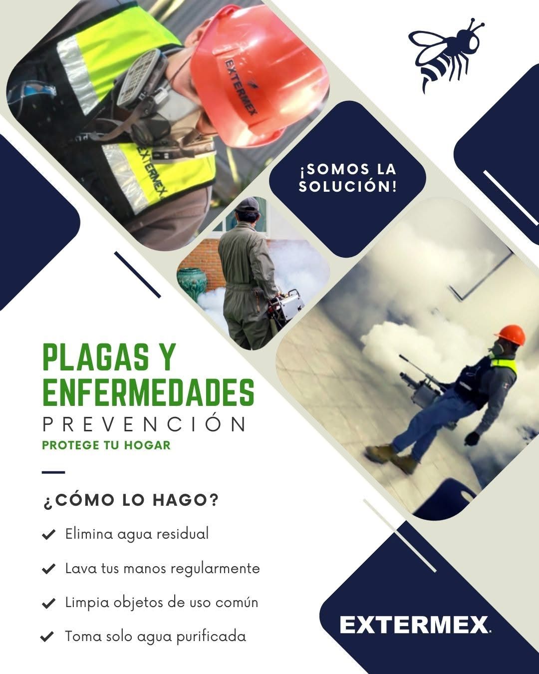 Servicios para la Industria Alimentaria (APPCC)